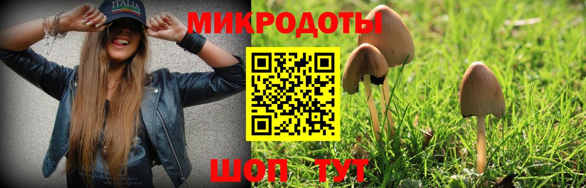 где купить наркоту  Вход с VPN  Галлюциногенные грибы MAGIC MUSHROOMS  Куйбышев  Галлюциногенные грибы мицелий 